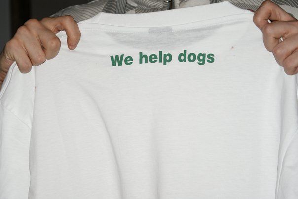 ZM NATION и 2SHORT помогают приюту бездомных собак! » Guf - Гуф .
