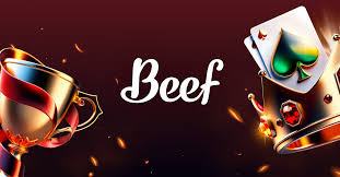 Beef asino